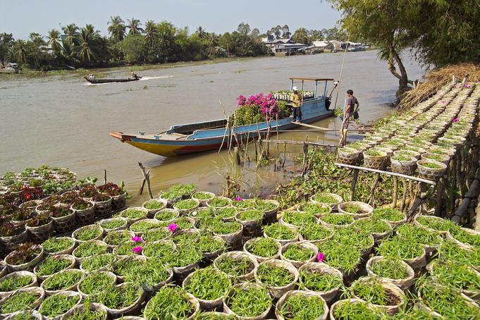 RV Lan Diep Cruise Trip from Saigon to Siem Reap – 10 Days - 2