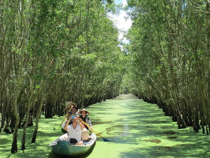 Discover the most popular stops on cambodia’s mekong river cruises Tra su forest | discover the most popular stops on cambodia’s mekong river cruises