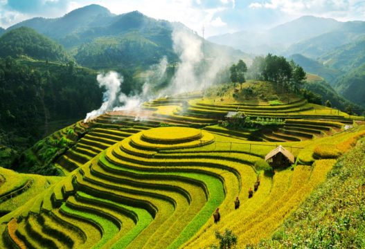 Amazing cambodia & vietnam tour with sapa extension - 15 days Muong hoa valley | amazing cambodia & vietnam tour with sapa extension - 15 days