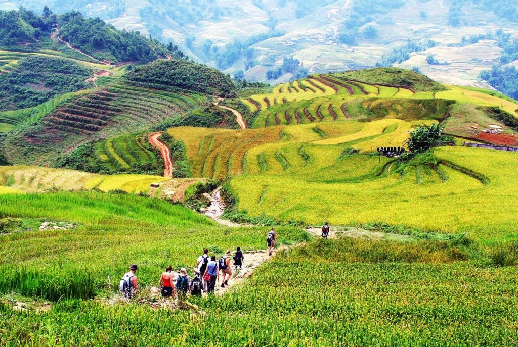 Who-should-visit-moana-sapa-find-out-if-its-for-you