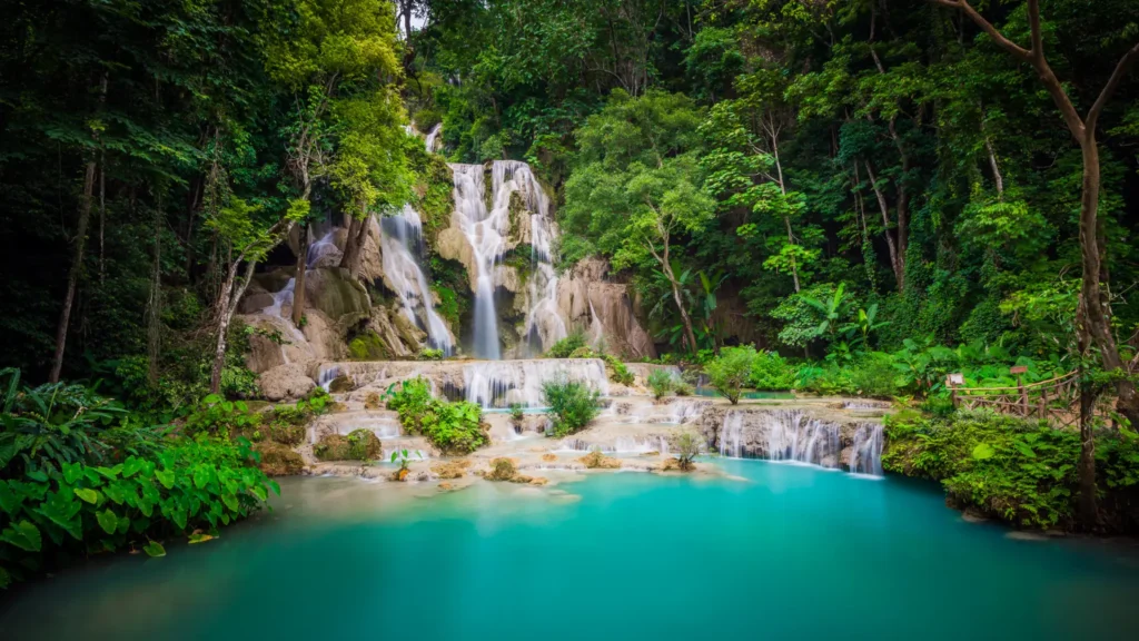 Lifetime Mekong River Cruise Tour From Chiang Mai to Luang Prabang – 6 Days - 5