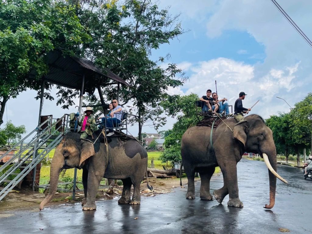 14-Day South to Central Vietnam Adventure: Ho Chi Minh, Mekong Delta, Central Highlands & Hoi An - 5