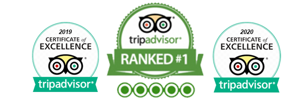 Tripadvisor certificate | homepage
