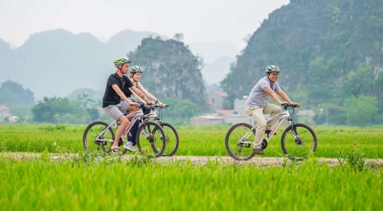 Amazing northern vietnam family tour Ninh binh group tour to hoa lu or bai dinh– trang an – mua cave- tam coc - 2 days