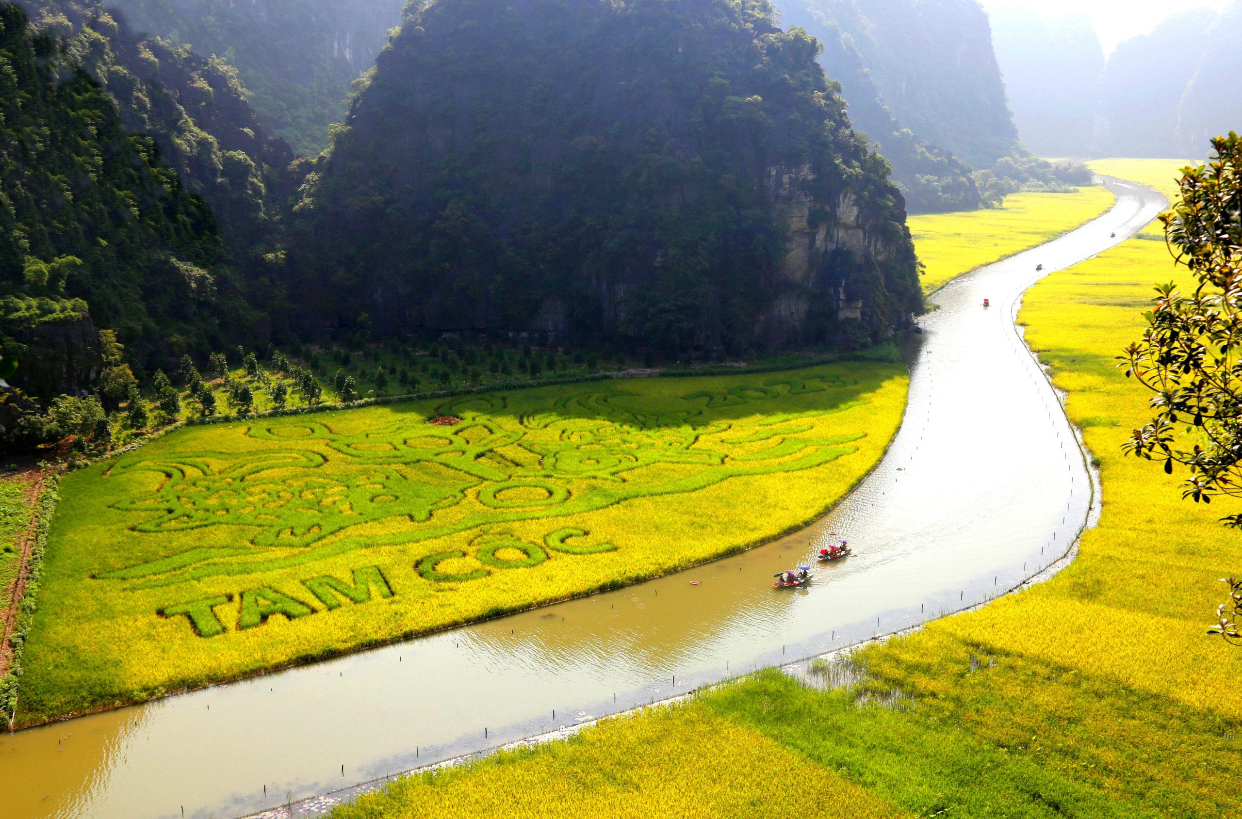 When-is-harvest-season-for-photos-in-northern-vietnam-best-time-for-golden-rice-terraces