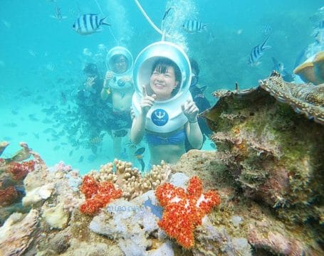 Walking underwater tour at cham island - 01 day Walking underwater tour at cham island