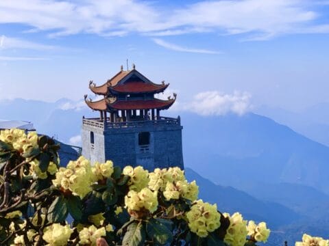 Traveling to vietnam in march: comprehensive travel guide Traveling-to-vietnam-in-march-comprehensive-travel-guide