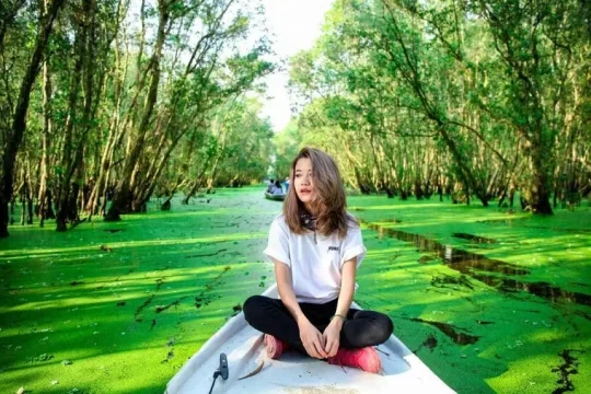 Planning a mekong delta tour in july: essential travel tips Tra su cajuput forest 5 | planning a mekong delta tour in july: essential travel tips