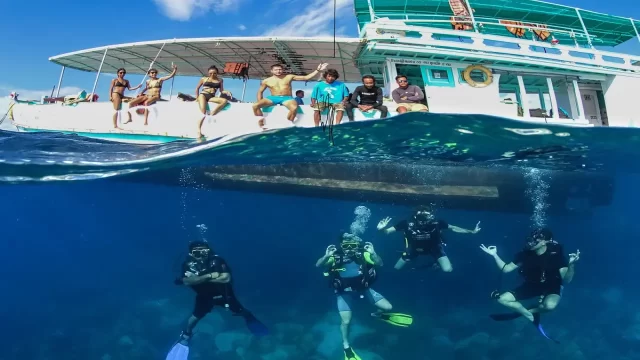 Top 5 best diving spots in thailand Top 5 best diving spots in thailand | top 5 best diving spots in thailand