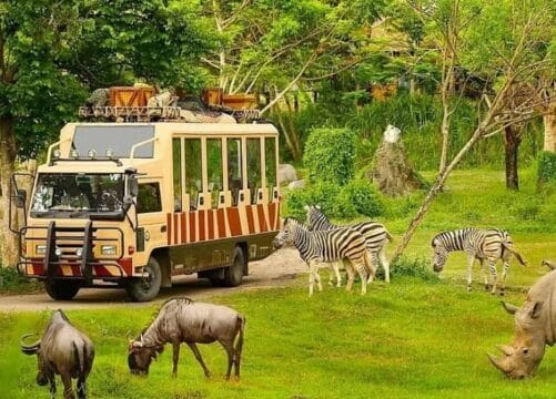 Wildlife-watching-in-phu-quoc-discover-why-july-is-the-best-month