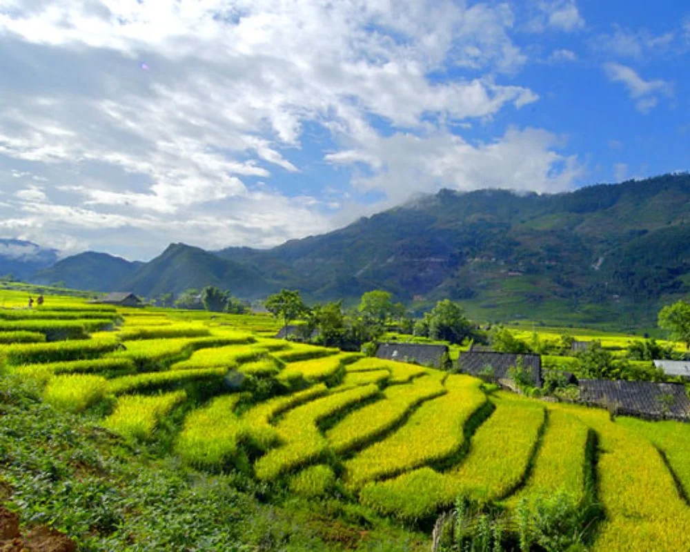 Ha giang climate by month: when is the best time to go? 6 1 | ha giang climate by month: when is the best time to go?