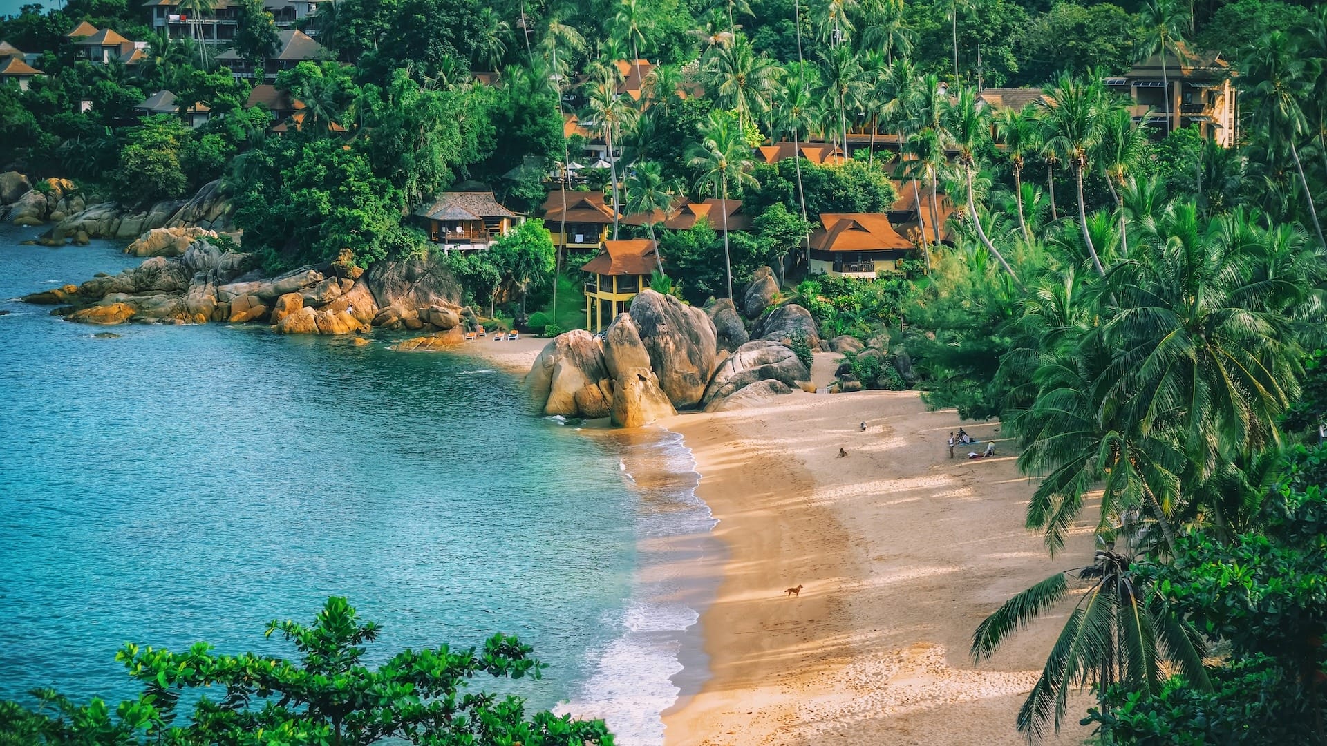 Koh samui’s must-do beach adventures you can’t miss Beach adventures in koh samui