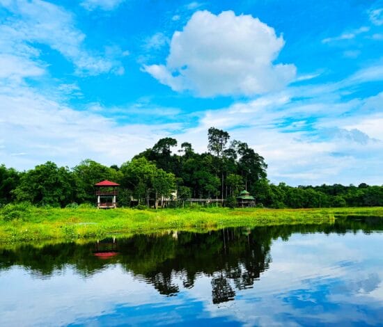Nam cat tien national park: travel tips and activities Crocodile area | nam cat tien national park: travel tips and activities