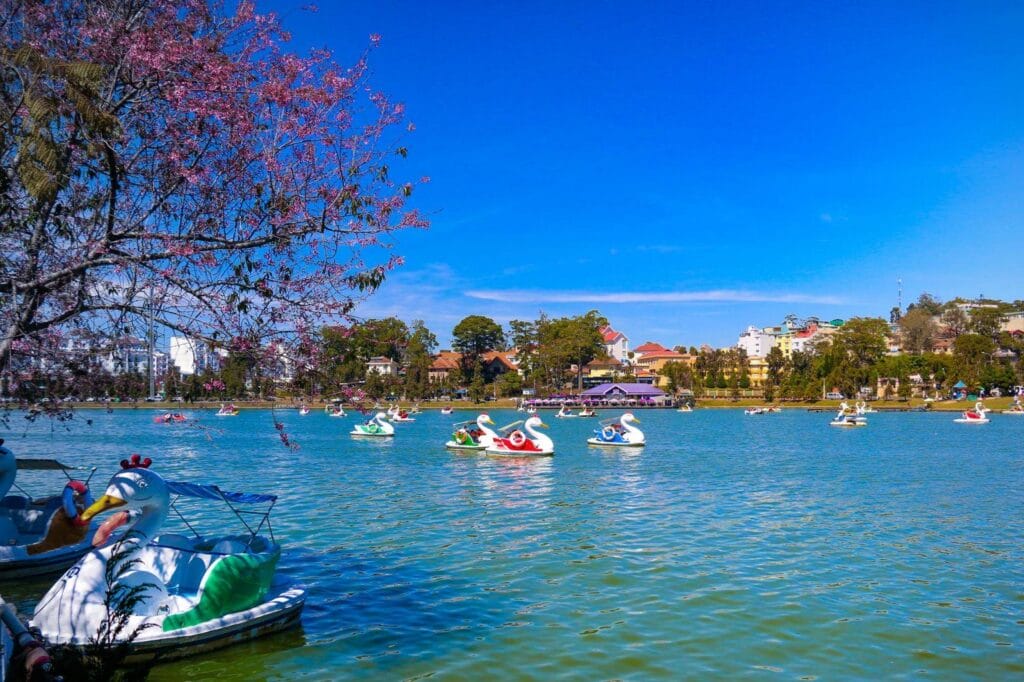 Image5 2 1024x682 1 | dalat travel guide: waterfalls & pine forests await