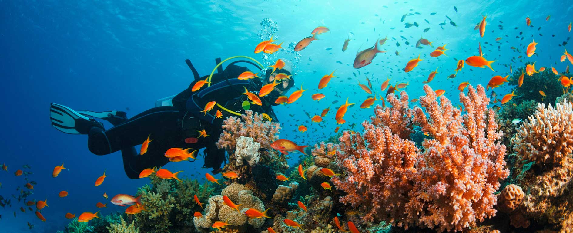 Koh samui’s must-do beach adventures you can’t miss | koh samui’s must-do beach adventures you can’t miss