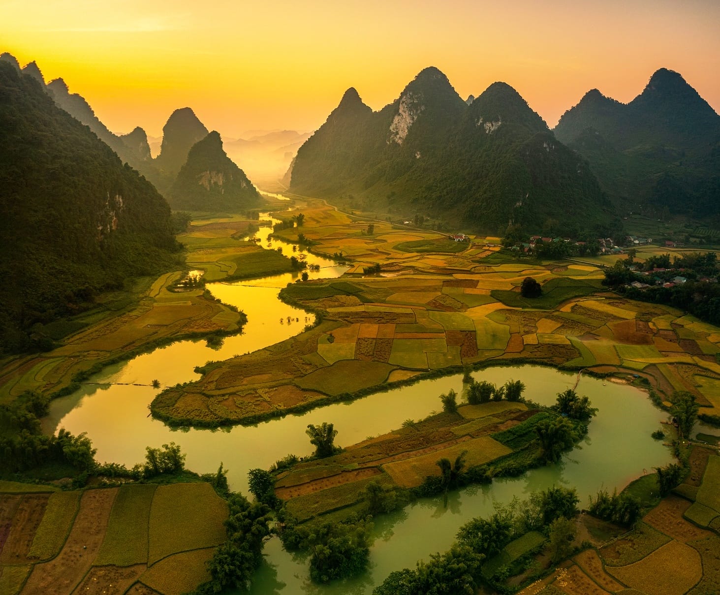 When-is-harvest-season-for-photos-in-northern-vietnam-best-time-for-golden-rice-terraces