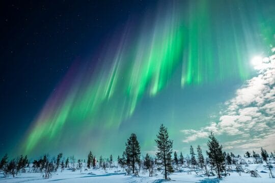 Guaranteed northern lights tour 2 | rovaniemi: guaranteed northern lights tour