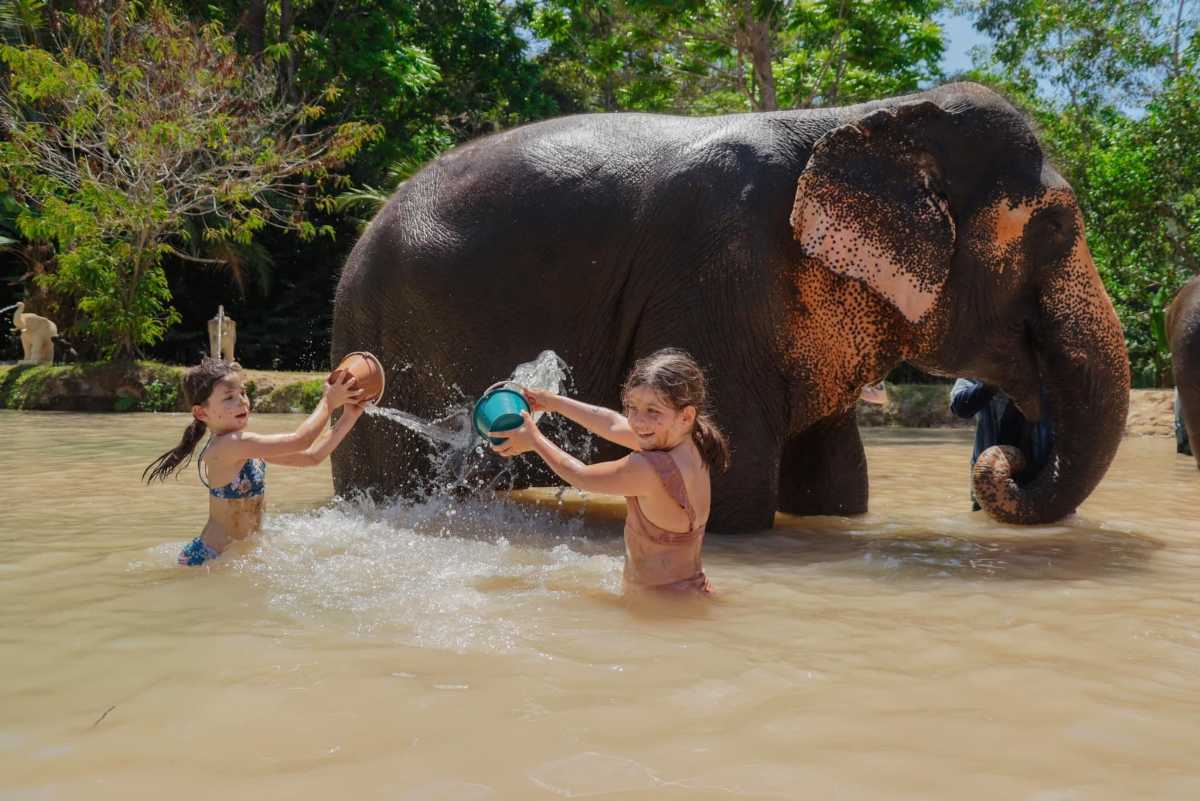 Top-ethical-elephant-sanctuaries-in-thailand-to-visit-for-a-meaningful-travel-experience Top-ethical-elephant-sanctuaries-in-thailand-to-visit-for-a-meaningful-travel-experience