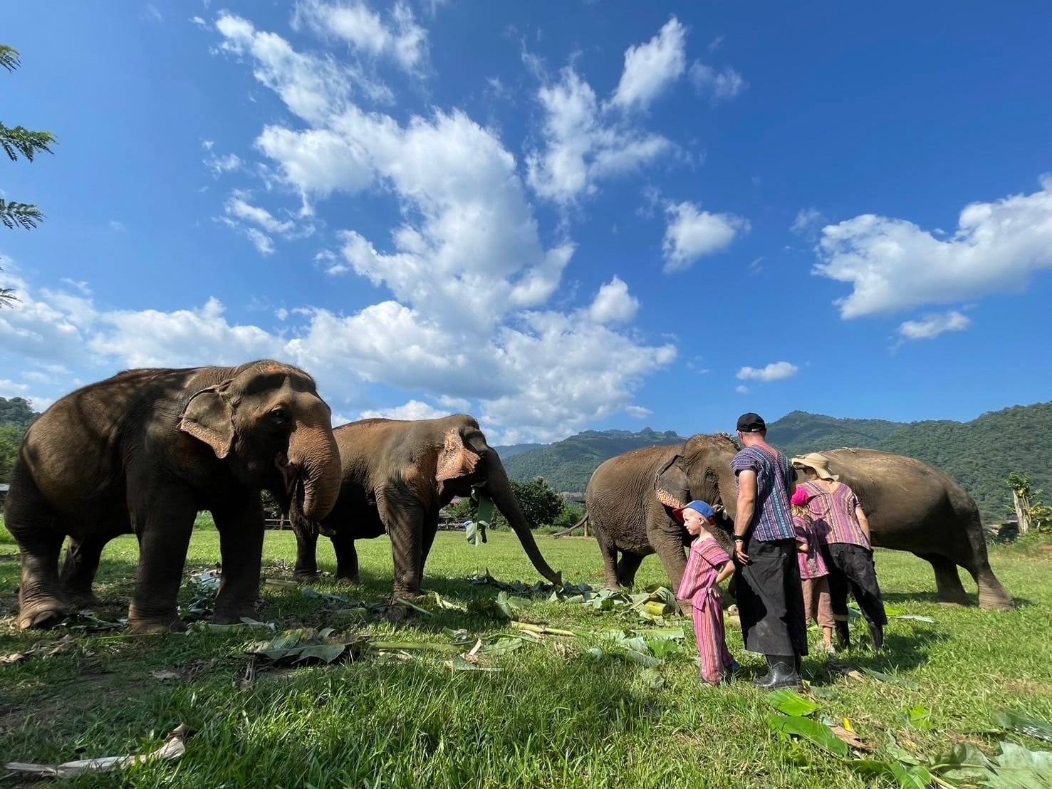 Ethical-elephant-sanctuaries-near-chiang-mai