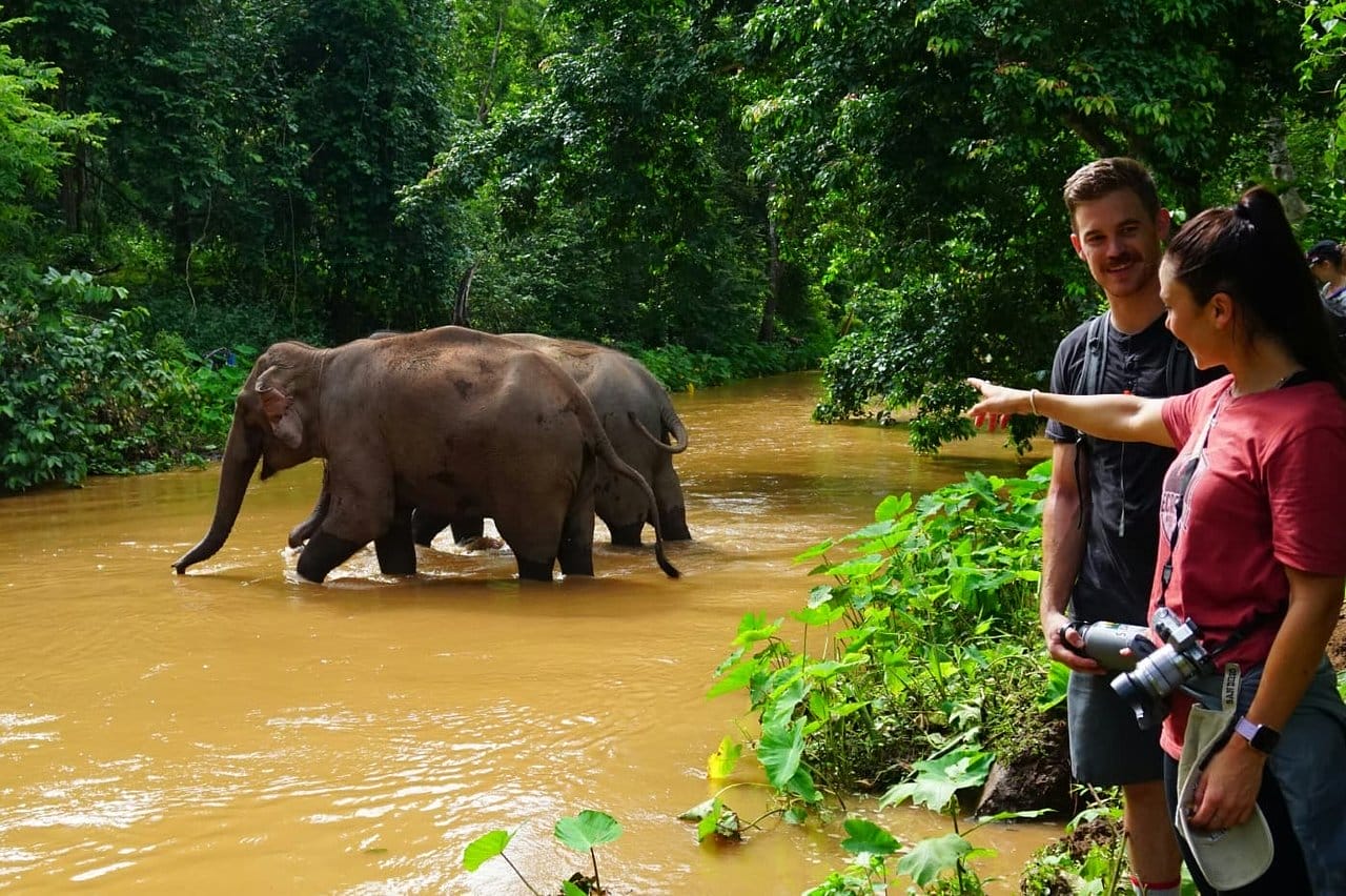 Kindred spirit elephant sanctuary | ethical elephant sanctuaries near chiang mai