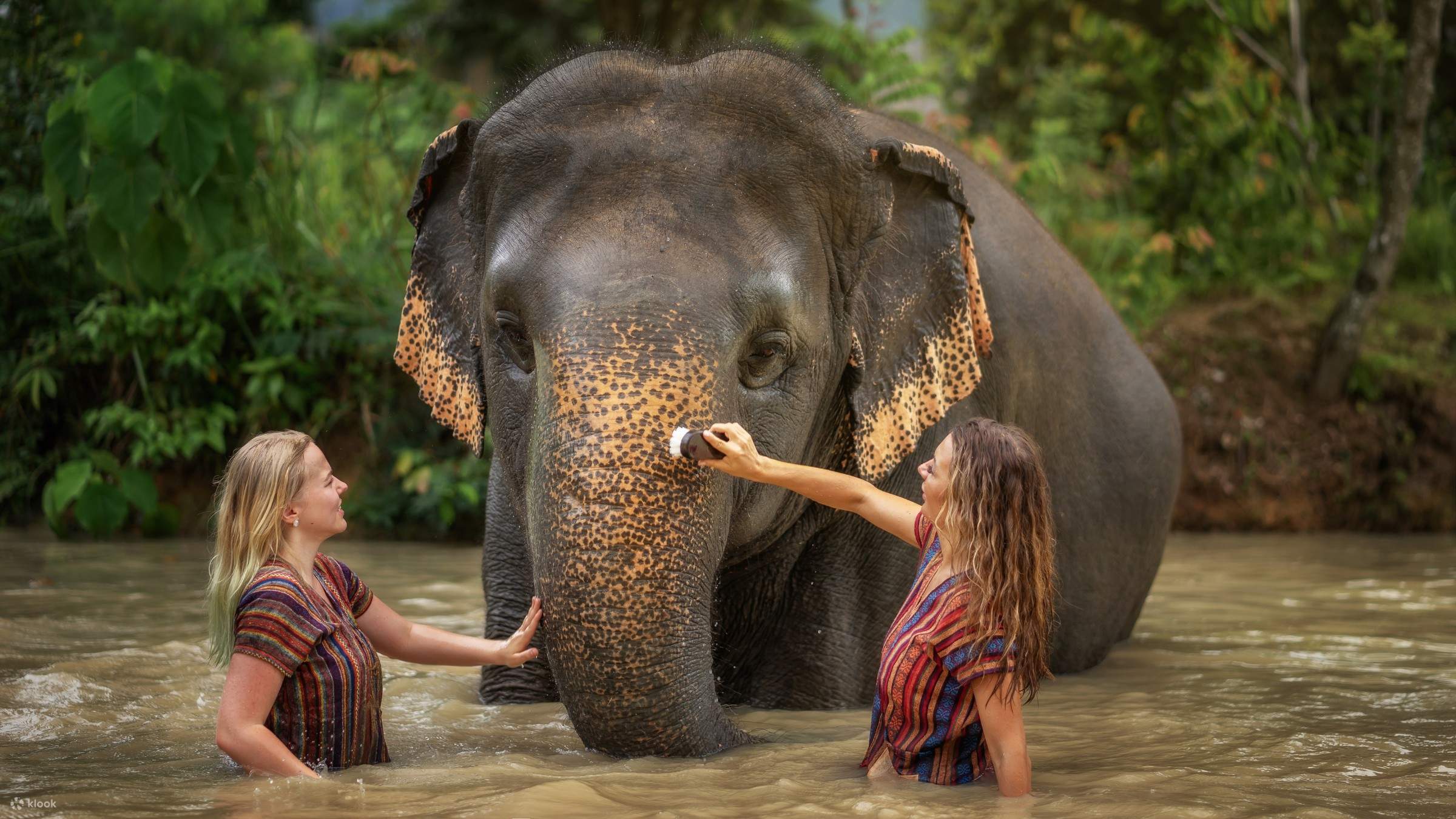Top-ethical-elephant-sanctuaries-in-thailand-to-visit-for-a-meaningful-travel-experience Top-ethical-elephant-sanctuaries-in-thailand-to-visit-for-a-meaningful-travel-experience