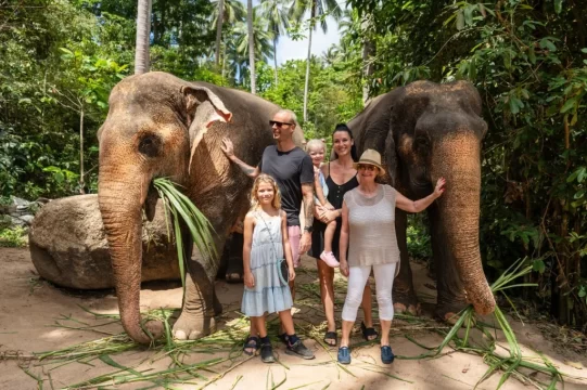 Ethical elephant sanctuaries in thailand you shouldn't miss Top-ethical-elephant-sanctuaries-in-thailand-to-visit-for-a-meaningful-travel-experience