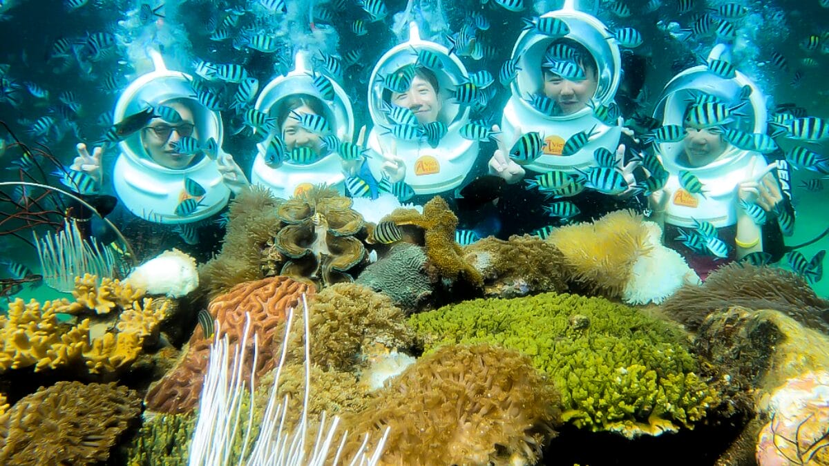 Vietnam fascinating tour to phu quoc islands – 4 days / 3 nights Seawalker experience in phu quoc island 1 | vietnam fascinating tour to phu quoc islands – 4 days / 3 nights