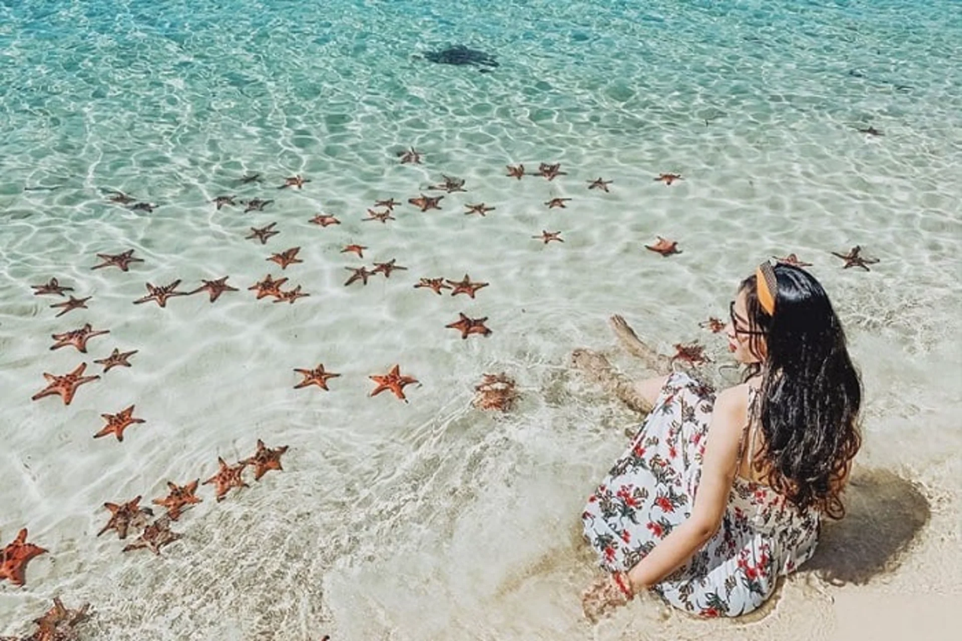 Vietnam fascinating tour to phu quoc islands – 4 days / 3 nights Star beach phu quoc | vietnam fascinating tour to phu quoc islands – 4 days / 3 nights