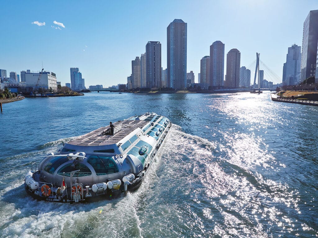 10-Day Japan Discovery Tour from Tokyo to Osaka via Kyoto - 4