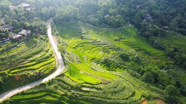 Pu luong 3 days 2 nights tour from hanoi: trekking, bat cave & hieu waterfall Don village | pu luong 3 days 2 nights tour from hanoi: trekking, bat cave & hieu waterfall