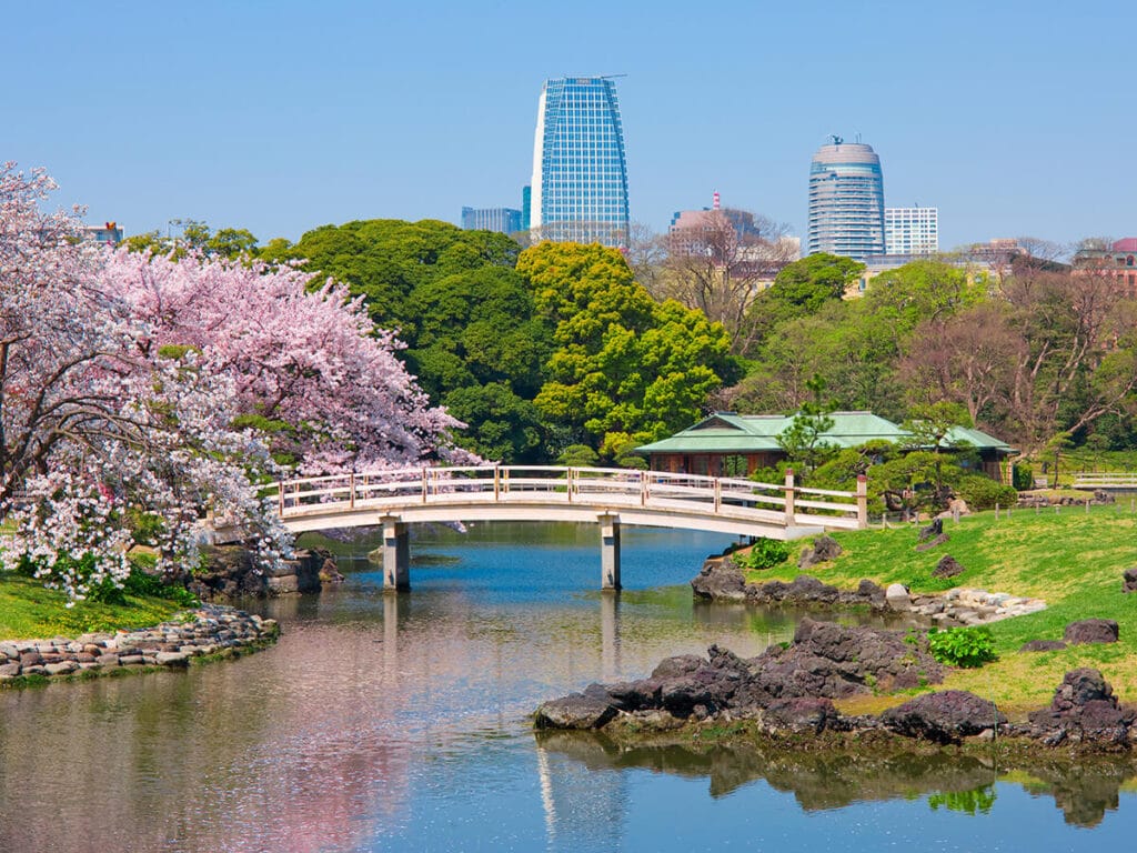 10-Day Journey Through Japan from Tokyo to Osaka via Fuji, Hakone and Kyoto - 4