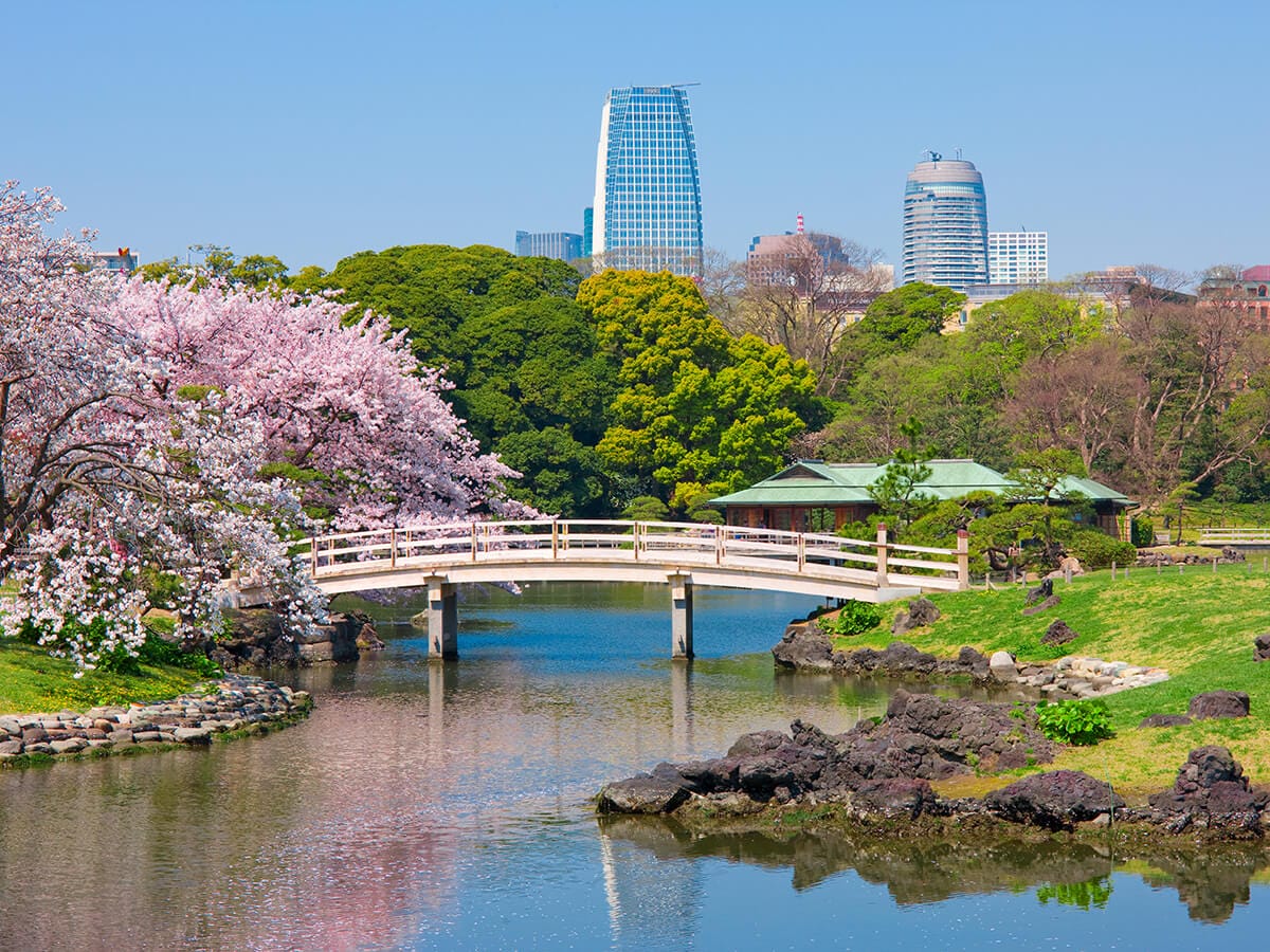 10-day-journey-through-japan-from-tokyo-to-osaka-via-mount-fuji-and-kyoto 10-day-journey-through-japan-from-tokyo-to-osaka-via-mount-fuji-and-kyoto